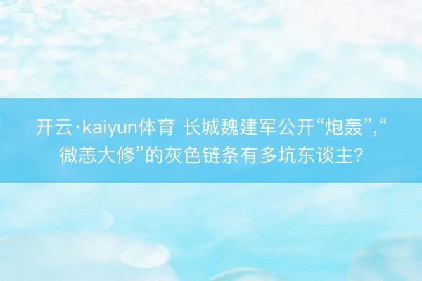 开云·kaiyun体育 长城魏建军公开“炮轰”，“微恙大修”的灰色链条有多坑东谈主？