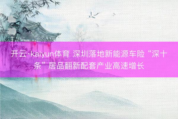 开云·kaiyun体育 深圳落地新能源车险 “深十条” 居品翻新配套产业高速增长