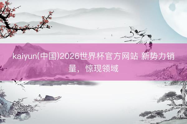 kaiyun(中国)2026世界杯官方网站 新势力销量，惊现领域