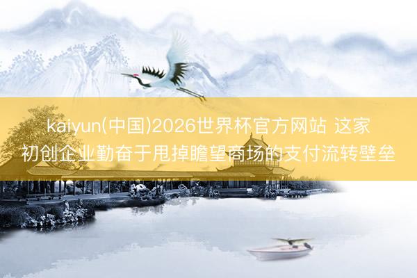 kaiyun(中国)2026世界杯官方网站 这家初创企业勤奋于甩掉瞻望商场的支付流转壁垒