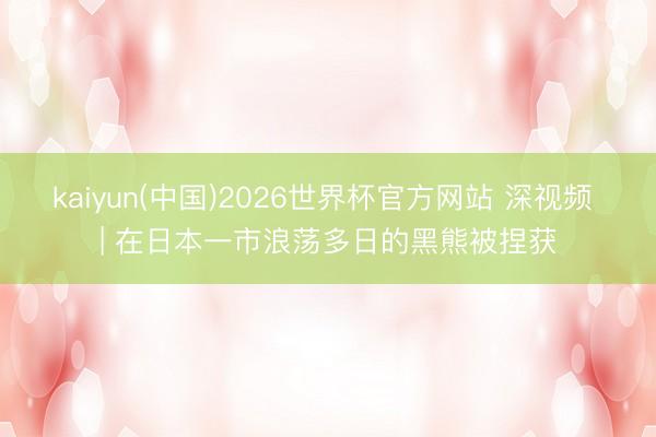 kaiyun(中国)2026世界杯官方网站 深视频 | 在日本一市浪荡多日的黑熊被捏获
