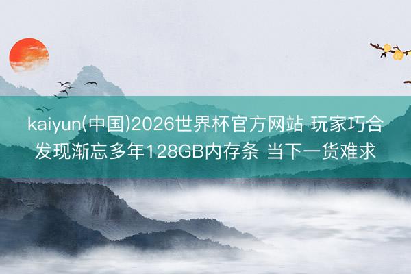 kaiyun(中国)2026世界杯官方网站 玩家巧合发现渐忘多年128GB内存条 当下一货难求